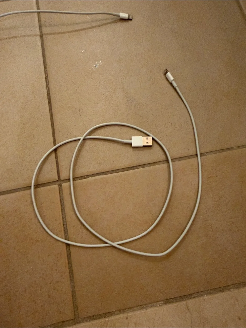 Apple White Lightning Cables and Wired Earbuds